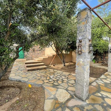 Rose Guesthouse Al 'Aqar Экстерьер фото