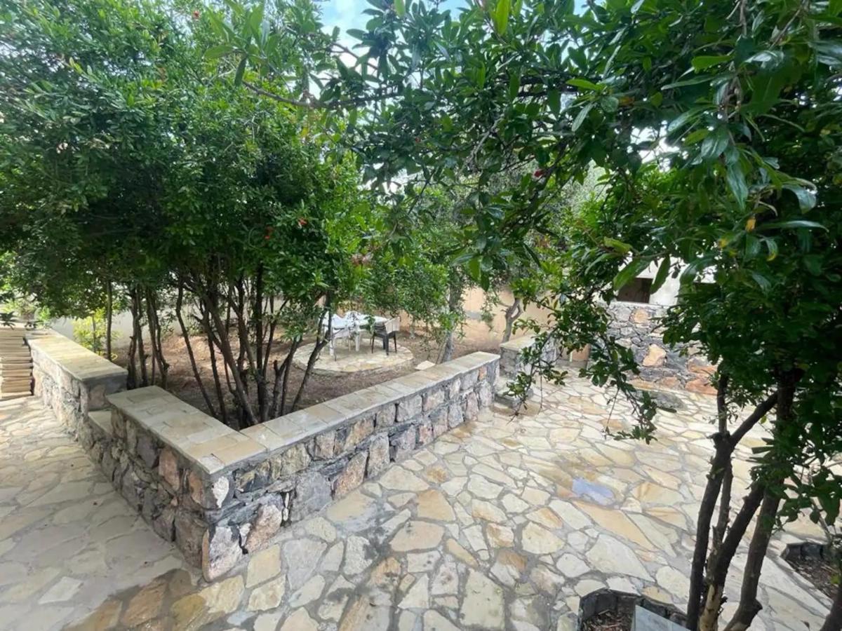 Rose Guesthouse Al 'Aqar Экстерьер фото